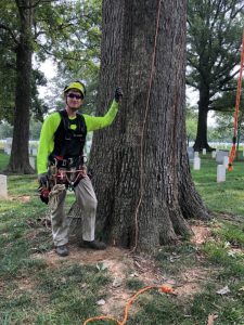 Installing Lightning Protection at Arlington National Cemetery