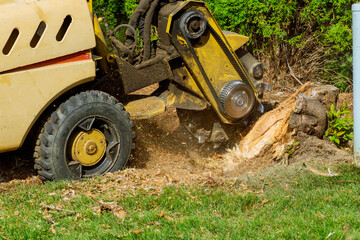 The Stump Grinding Processes